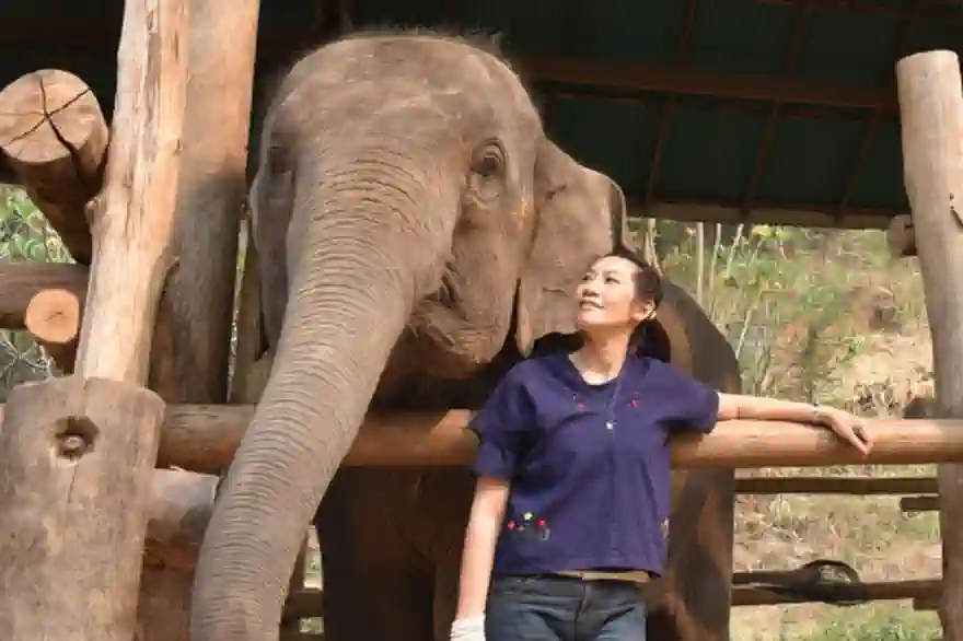 Chiang Mai Elephant Camp
