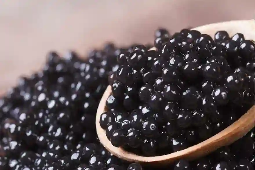 Durain, Mango Und Kaviar? Thailändisch-Russische Partnerschaft Schafft Erschwinglichen Kaviar