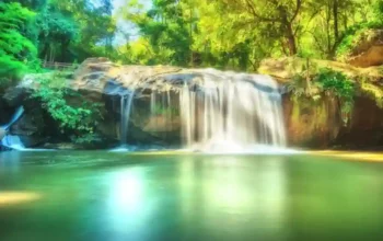 E. Coli-Kontamination An Einem Beliebten Wasserfall In Chiang Mai Gefunden