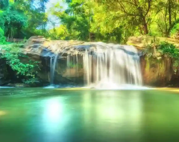 E. Coli-Kontamination An Einem Beliebten Wasserfall In Chiang Mai Gefunden