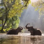 5 Nationalparks Thailands Erhöhen Die Eintrittsgebühren Für Ausländer Um 100 %