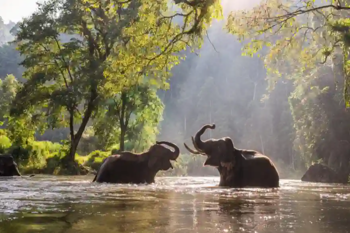 8 Nationalparks in Thailand, die man gesehen haben muss 8 Nationalparks in Thailand, die man gesehen haben muss