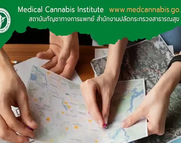 Dinge, die Touristen über Cannabis in Thailand wissen müssen