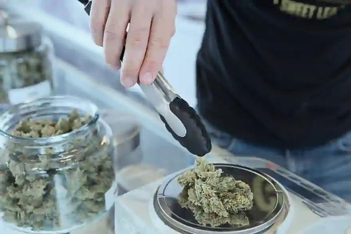 10 Dinge, die Touristen über Cannabis in Thailand wissen müssen 10 Dinge, die Touristen über Cannabis in Thailand wissen müssen