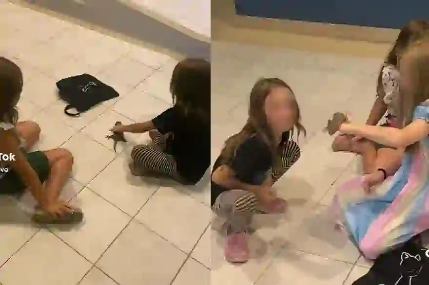 Ausländischen Kindern, die mit gefährlichen Tokay-Geckos spielen, schockiert thailändische Internetnutzer