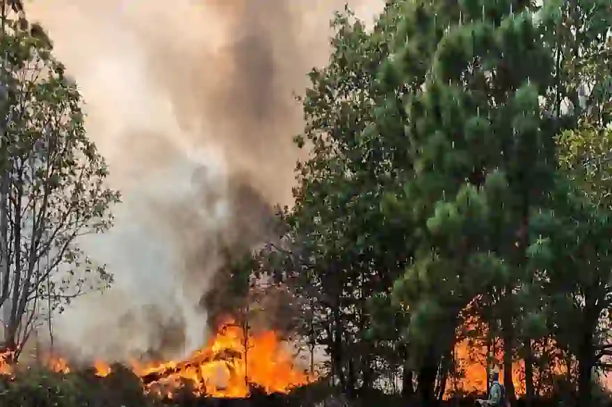 Nationale Parks Und Schutzgebiete In Nordthailand Wegen Feuer Geschlossen