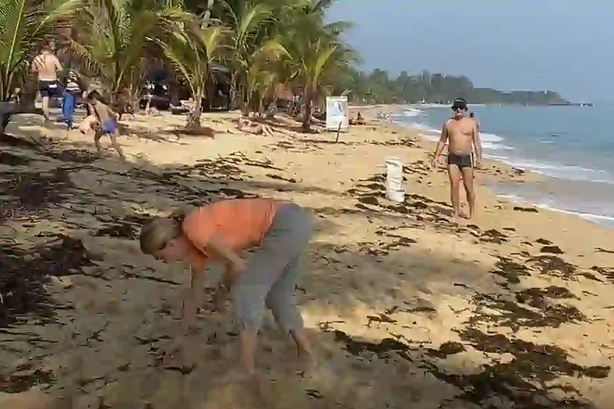 Russische Touristen helfen bei der Strandreinigung in Koh Samui