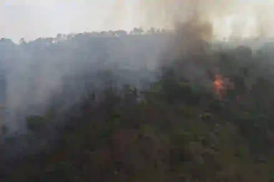 Feuer im Nationalpark Chiang Mai tötet Freiwillige der Feuerwehr