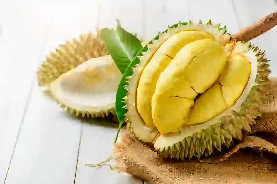 esten Durian-Sorten für köstlichen Genuss