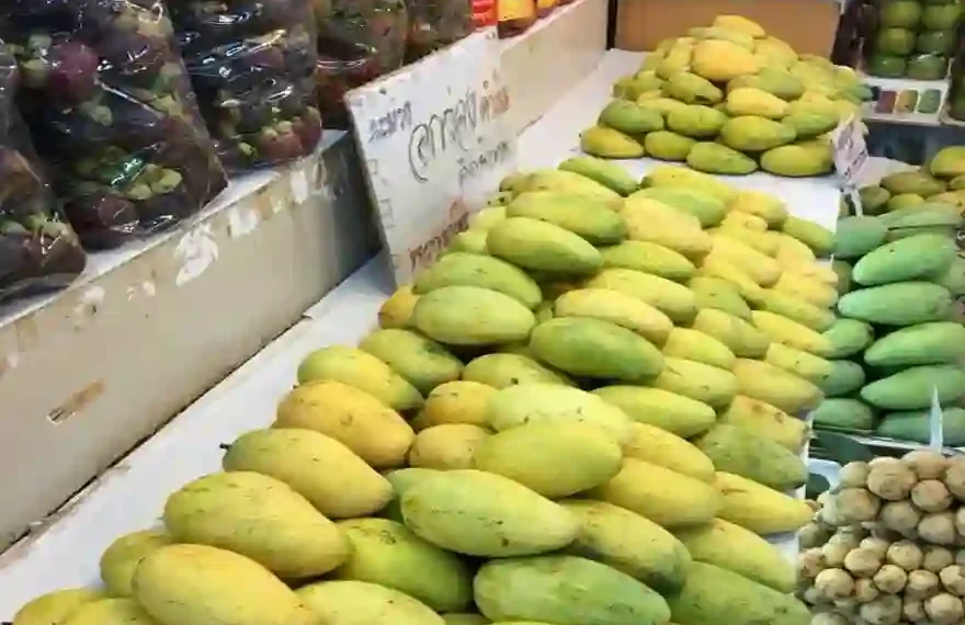 Okrong mangos thailand