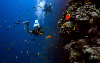 beliebtesten schoensten tauchplaetze in thailand