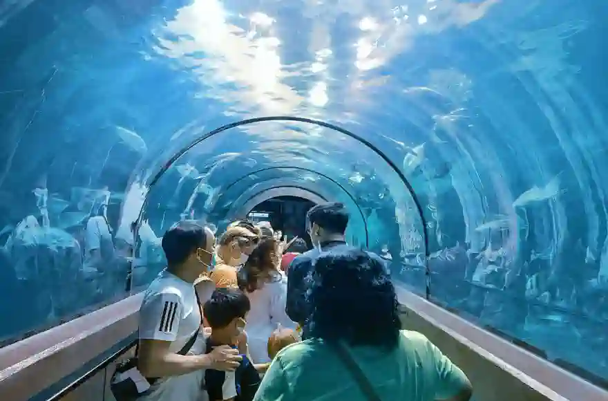 Phuket Aquarium ausflug