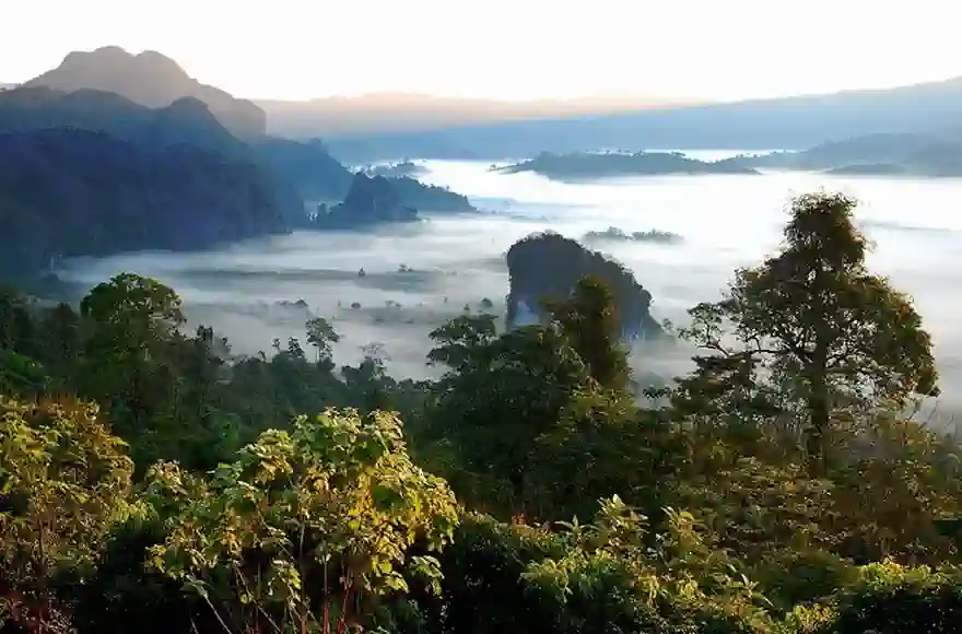 Phu Langka Forest Par