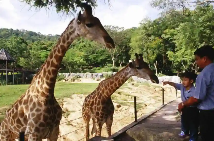 Thailands beste Safariparks und Zoos mit Wildtieren Thailands beste Safariparks und Zoos mit Wildtieren
