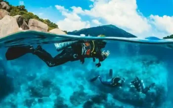 Reiseführer für Koh Tao