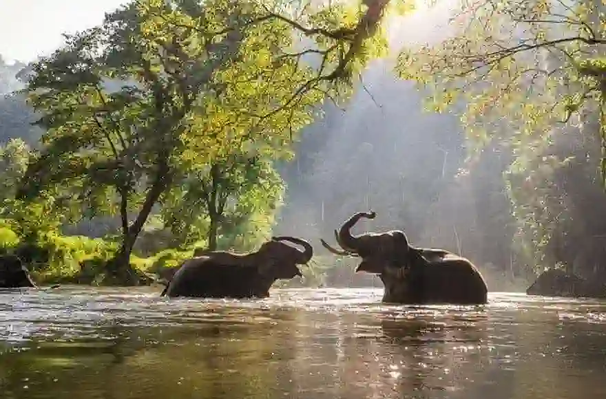 Thailands Nationalparks brechen Einnahmerekorde