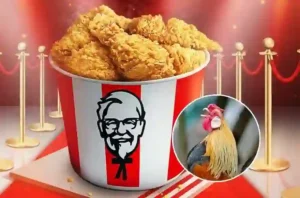KFC Thailand feiert den National Fried Chicken Day mit kostenlosen Drumsticks