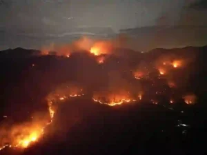 Feuerwehrleute bekämpfen Waldbrand in der Nähe eines Klosters in Chon Buri