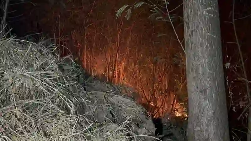 Zur Eindaemmung des Feuers kamen Loeschfahrzeuge und die Anlage von Brandschneisen zum Einsatz