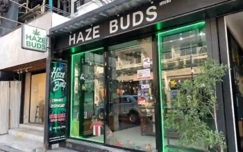 cannabis-kaufen-in-chiang-mai