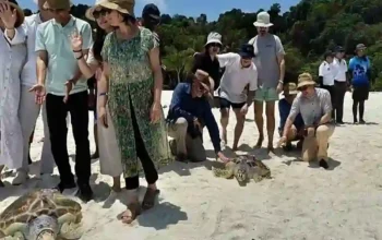 Thailand führt E-Ticket-System in Meeresparks ein