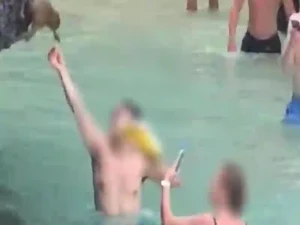 Krabi-Nationalpark will ausländische Touristen bestrafen, die Affen füttern