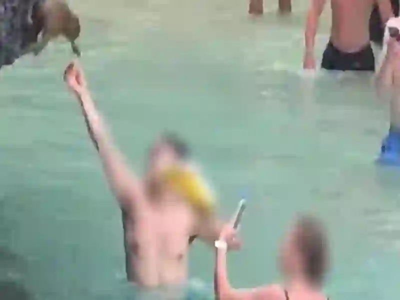 Krabi-Nationalpark will ausländische Touristen bestrafen, die Affen füttern