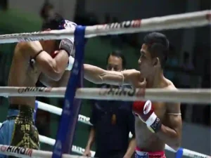 Muay Thai als Soft Power
