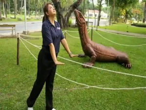 Öko-Symbol oder Touristen-Gag? Stadt wägt Zukunft der überlebensgroßen Hommage an beliebtes Reptil ab