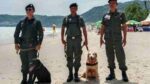 Patong Beach erhält Bombenräumkommando und Spürhunde zur Sicherheit der Touristen