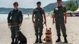 Sicherheit der Touristen