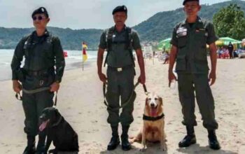 Patong Beach erhält Bombenräumkommando und Spürhunde zur Sicherheit der Touristen