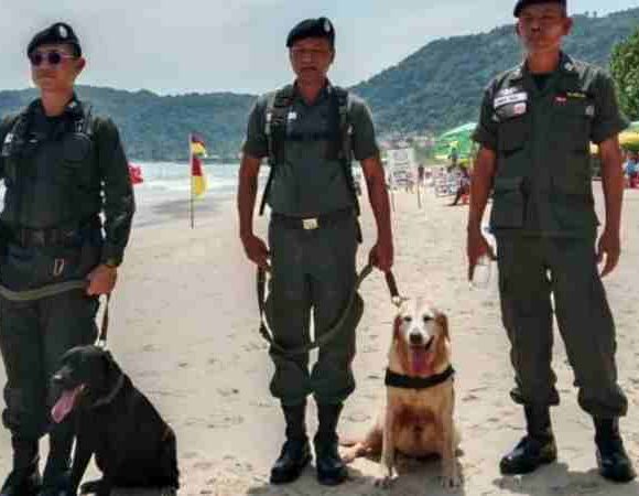 Sicherheit der Touristen