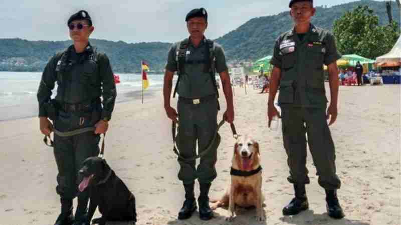Sicherheit der Touristen