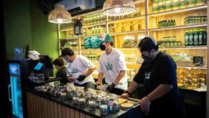 cannabis thailand