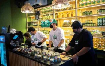 Thailands Cannabis-Repression: Neue Regeln könnten den grünen Boom beenden