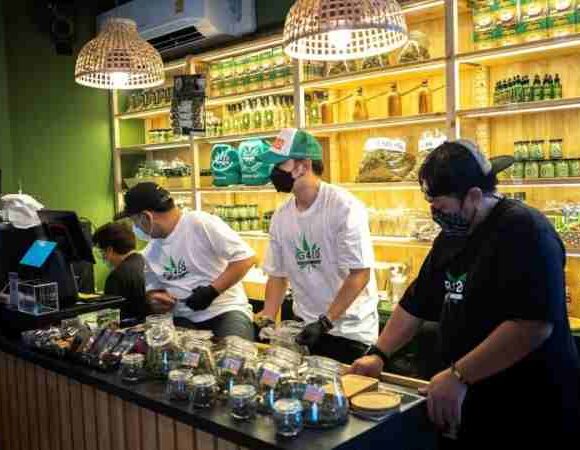 cannabis thailand