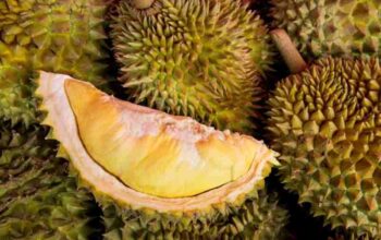 durian farang