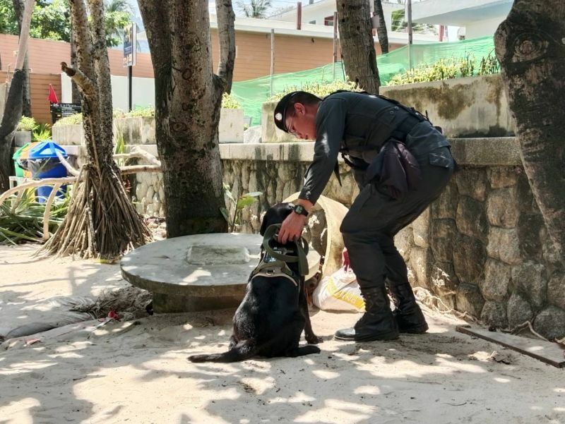 Patong Beach erhält Bombenräumkommando und Spürhunde zur Sicherheit der Touristen patong sicherheit