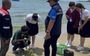 Pattayas Strand wird grün: Planktonblüte löst Panik aus