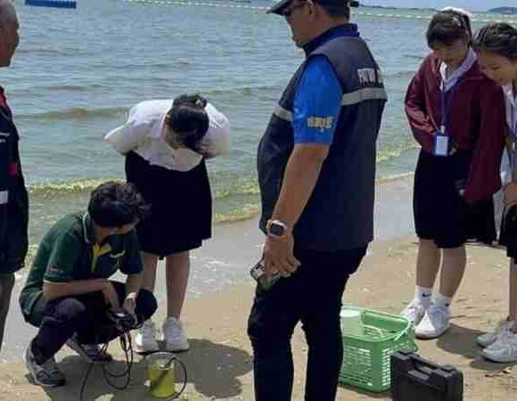pattaya Plankton