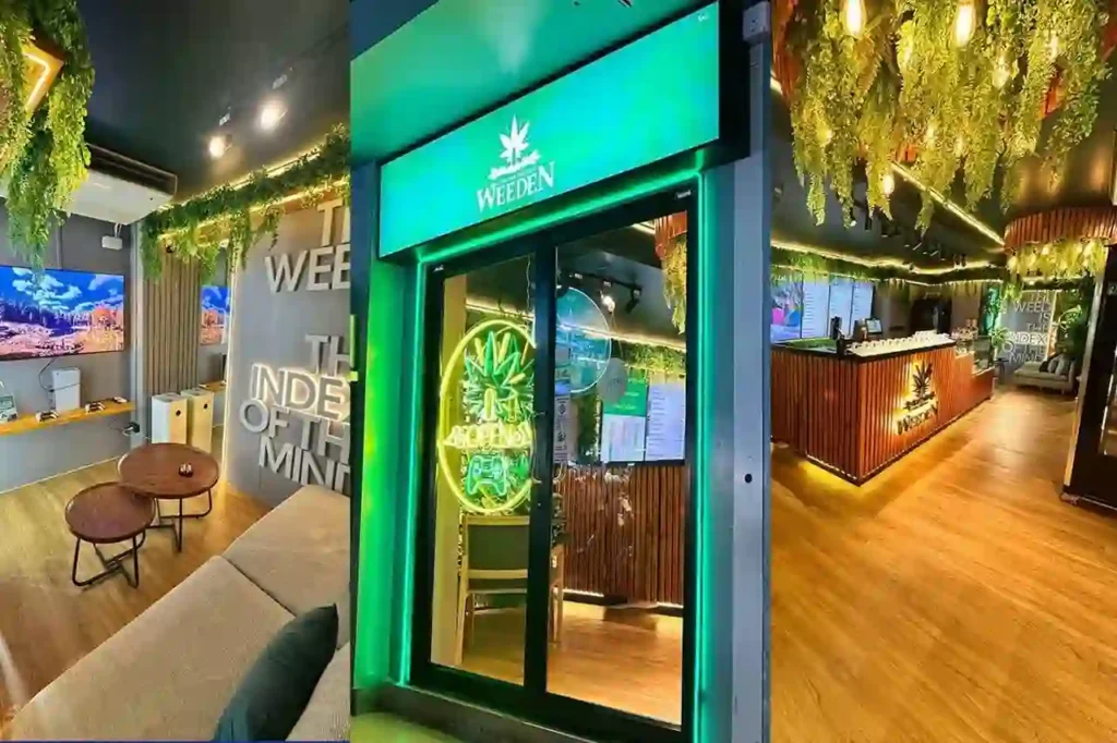Ihr aktualisierter Leitfaden zur Suche nach legalem Cannabis in Apotheken, die auf jeden Fall einen Besuch wert sind.