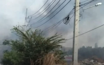 Feuerwehrleute bekämpfen in Jomtien, Pattaya, einen Grasbrand bei starkem Wind