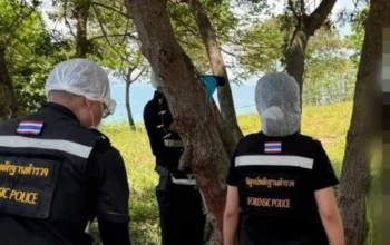 Isländischer Mann tot unter Baum auf Koh Larn gefunden